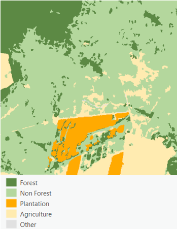 SilviCarbon analysis: land-use & land-cover analysis