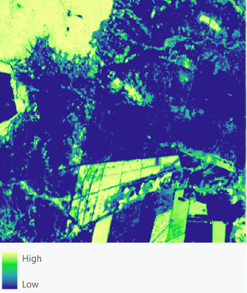 SilviCarbon analysis: remote sensing monitoring