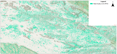 Accuracy mask used to validate the Kudzu classification against reference imagery and field data