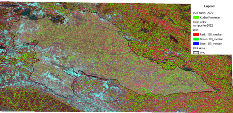 False-colour Sentinel-2 composite used to distinguish spectral patterns associated with Kudzu