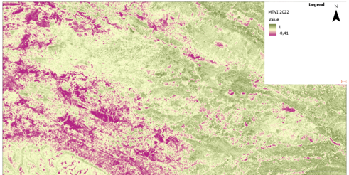 Vegetation-index analysis highlighting areas of potential Kudzu presence