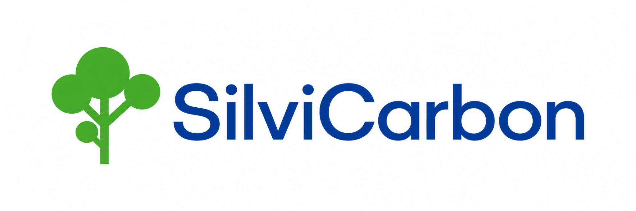 SilviCarbon